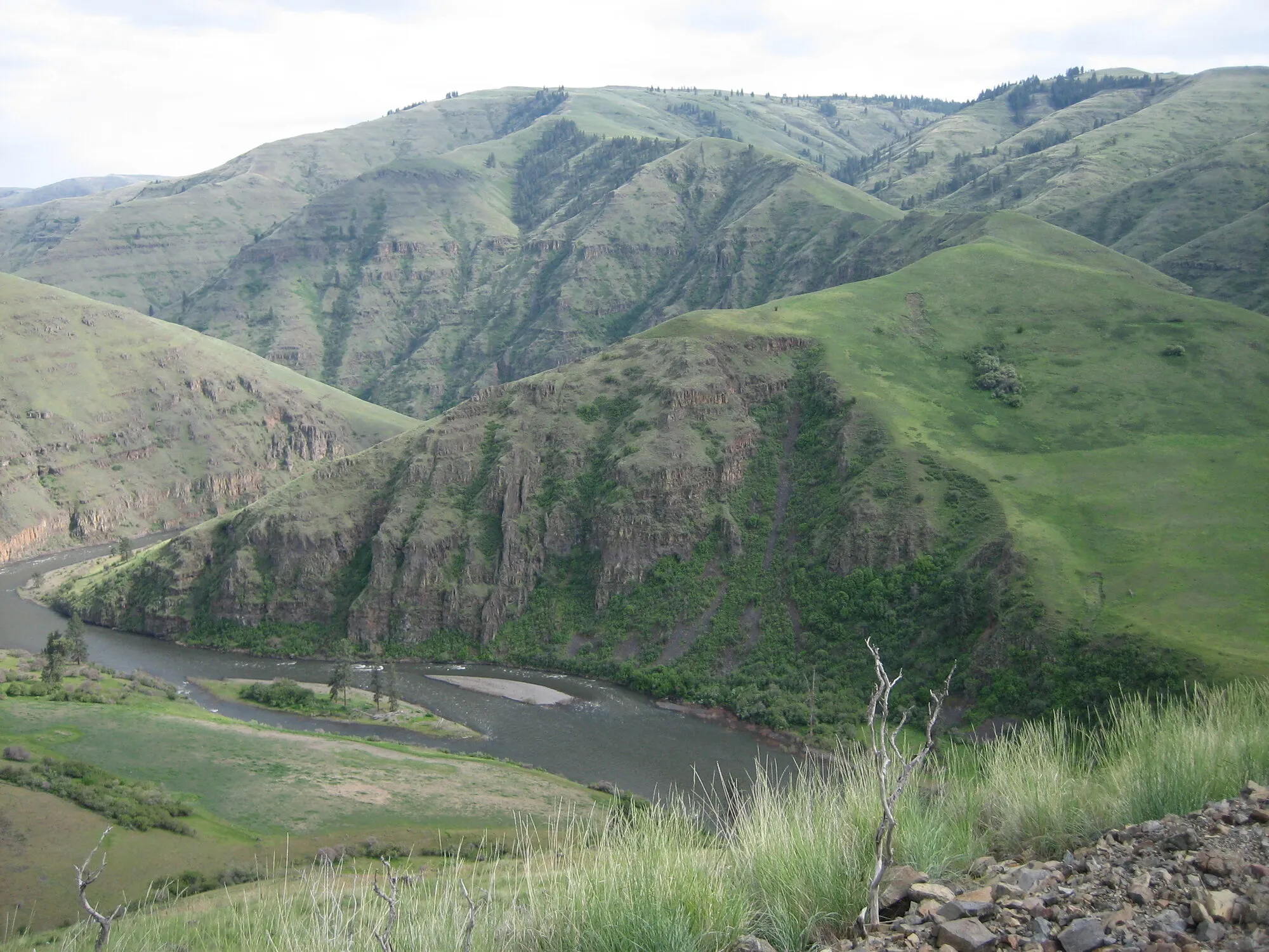 Green canyon walls dropping to a river south of Lewiston, Idaho